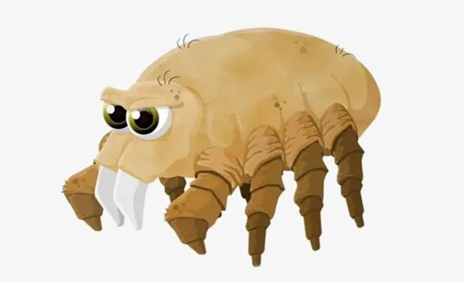Insect Mites PNG, Clipart, Animal, Harmful, Insect, Insect Clipart, Mites Free PNG Download