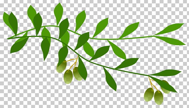 Olive Branch PNG, Clipart, Branch, Clip Art, Food Drinks, Laurel Wreath, Leaf Free PNG Download