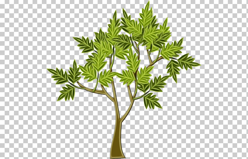 Leaf Plant Stem Tree Flowerpot Branching PNG, Clipart, Biology, Branching, Flowerpot, Leaf, Paint Free PNG Download
