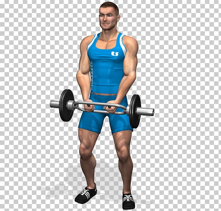 Biceps Curl Weight Training Arm Shoulder PNG, Clipart, Abdomen, Arm, Back, Barbell, Biceps Curl Free PNG Download