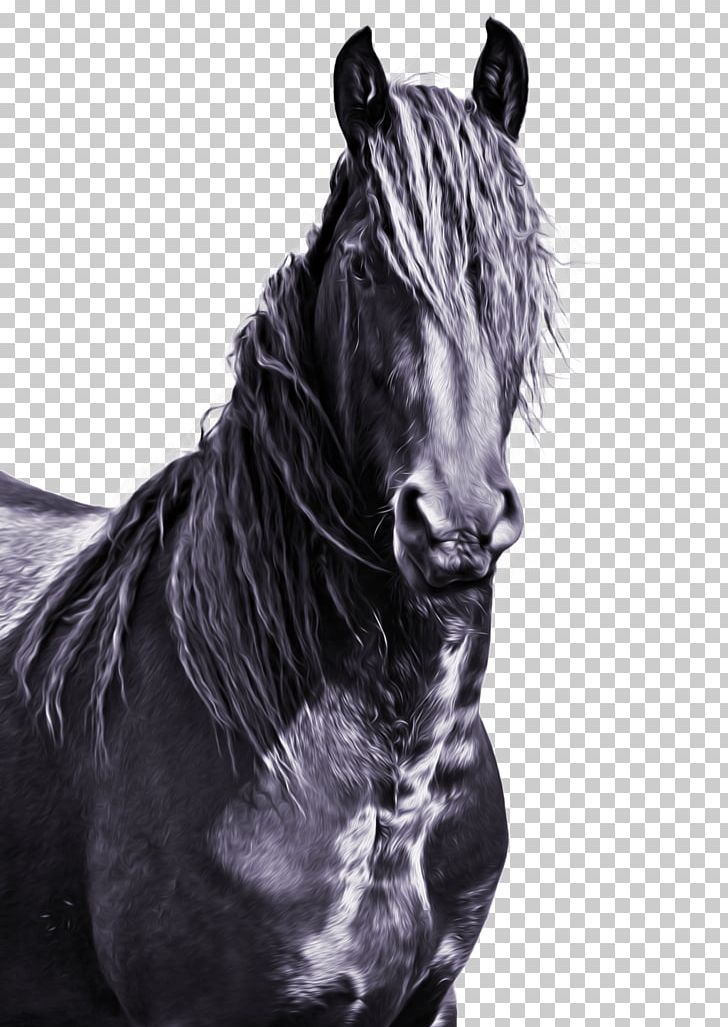 Friesian Horse Mane American Paint Horse Mustang Stallion PNG, Clipart, Ameri, Black, Black And White, Breed, Bridle Free PNG Download