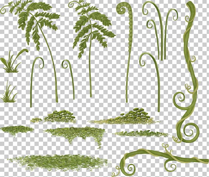 Grass Floral Design Plant Stem PNG, Clipart, Branch, Branching, Calligraphy, Flora, Floral Design Free PNG Download