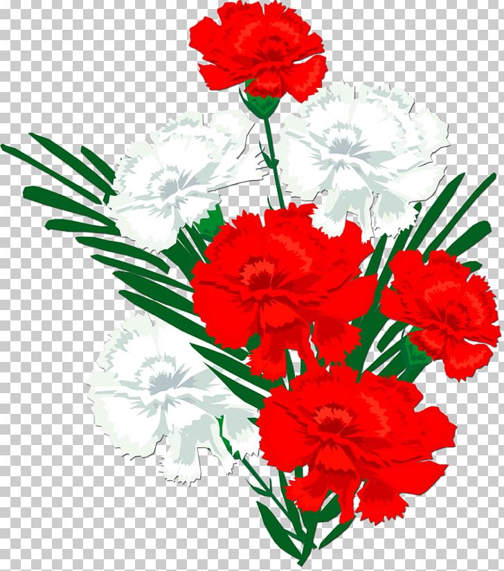 Information Pink Kryddernellike PNG, Clipart, 2017, Annual Plant, Artwork, Carnation, Cut Flowers Free PNG Download