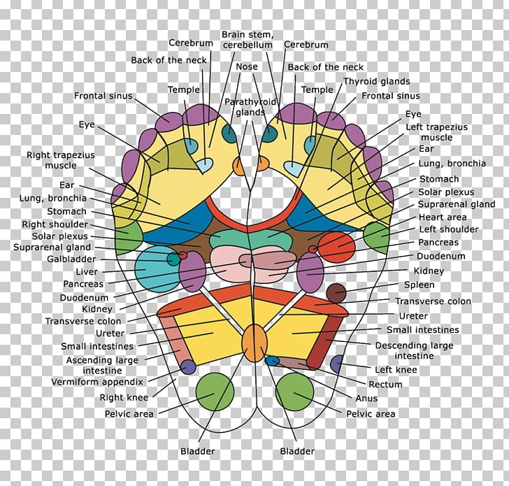 Reflexology Detoxification Foot Pads Human Body PNG, Clipart, Acupressure, Alternative Health Services, Area, Art, Circle Free PNG Download