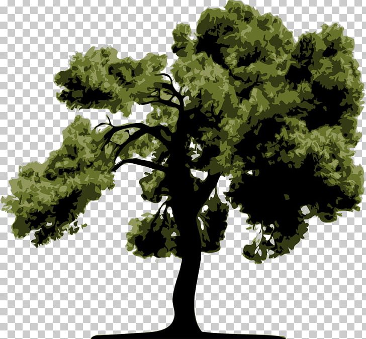 Tree Drawing PNG, Clipart, Art, Bonsai, Conifer, Drawing, Encapsulated Postscript Free PNG Download