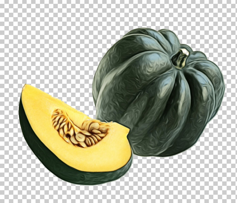 Squash Winter Squash Fruit Melon PNG, Clipart, Fruit, Melon, Paint, Squash, Watercolor Free PNG Download