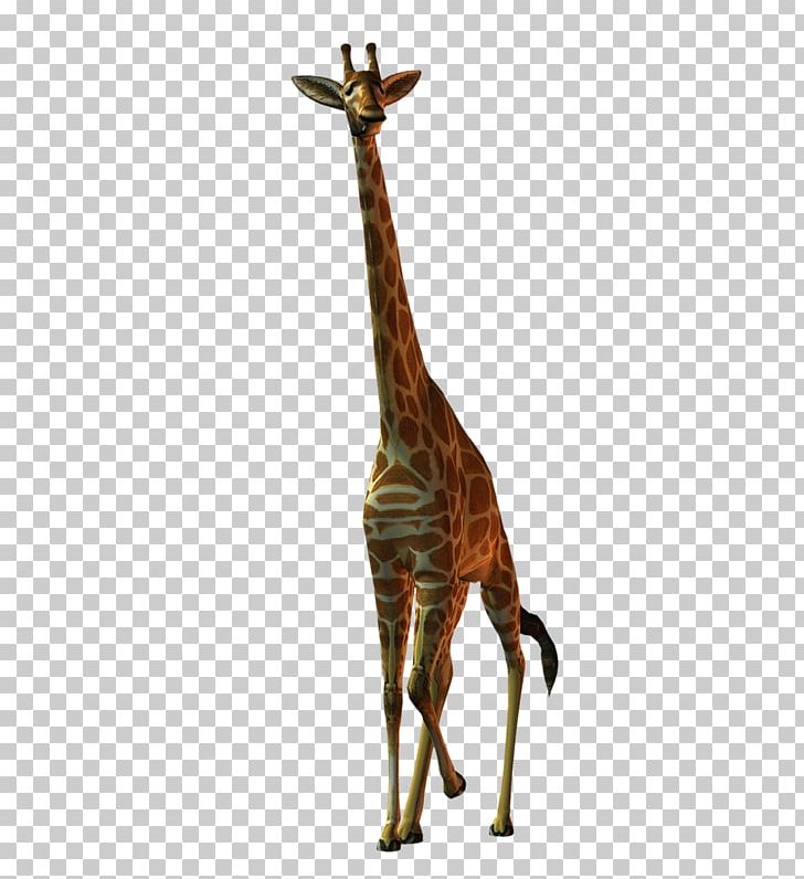Leopard Northern Giraffe Mammal Animal PNG, Clipart, 3d Computer Graphics, Animal, Animal Figure, Computer, Computer Graphics Free PNG Download