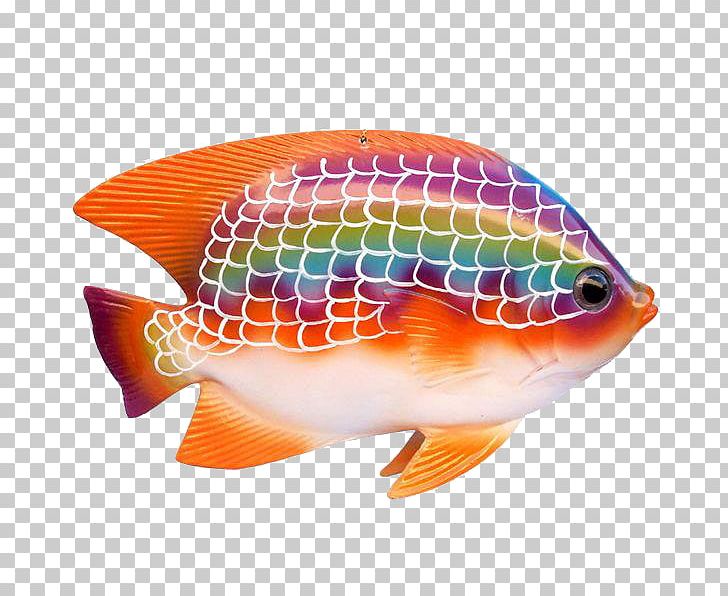 Tropical Fish Ornamental Fish Guppy PNG, Clipart, Animal, Animals, Aquarium, Aquarium Fish, Aquatic Animal Free PNG Download