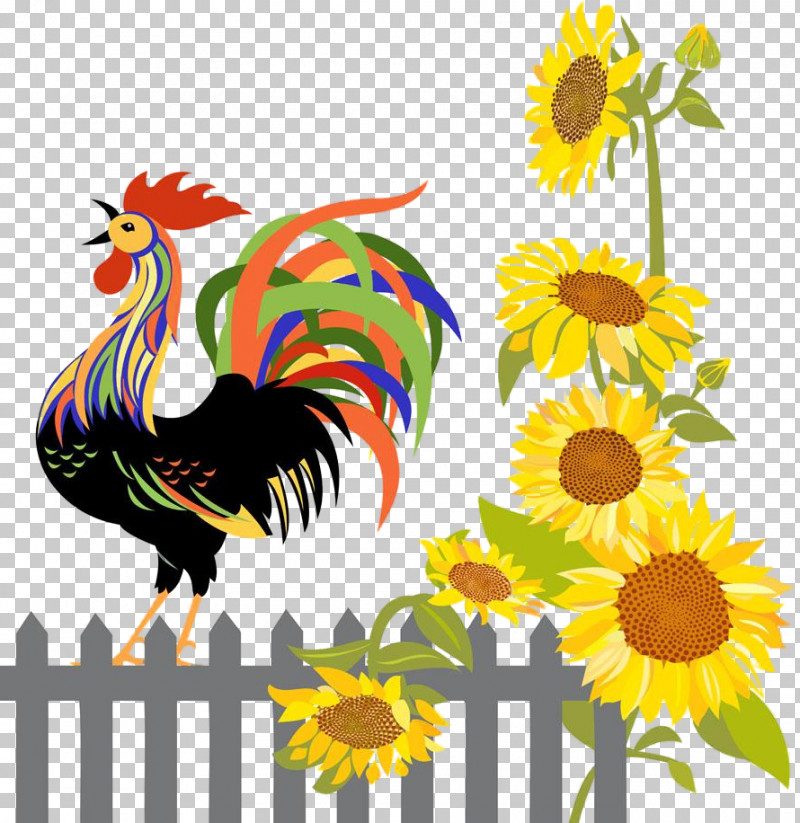 Sunflower PNG, Clipart, Beak, Bird, Chicken, Livestock, Plant Free PNG Download
