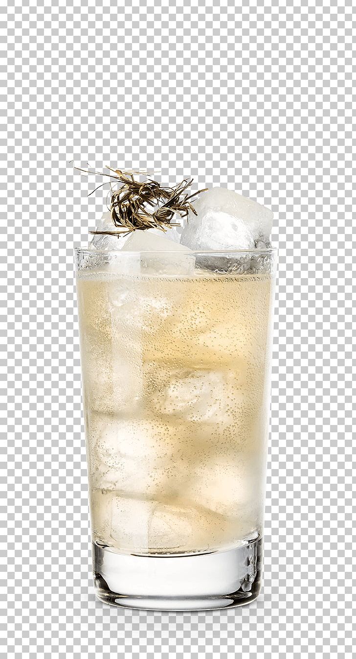 Gin And Tonic Highball Black Russian Sea Breeze Cocktail Garnish PNG, Clipart, Black Russian, Cocktail, Cocktail Garnish, Drink, Flavor Free PNG Download