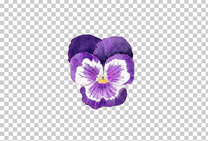 Watercolor Painting Pansy Purple Photography PNG, Clipart, Art, Drawing, Flower, Flowering Plant, Lavender Free PNG Download