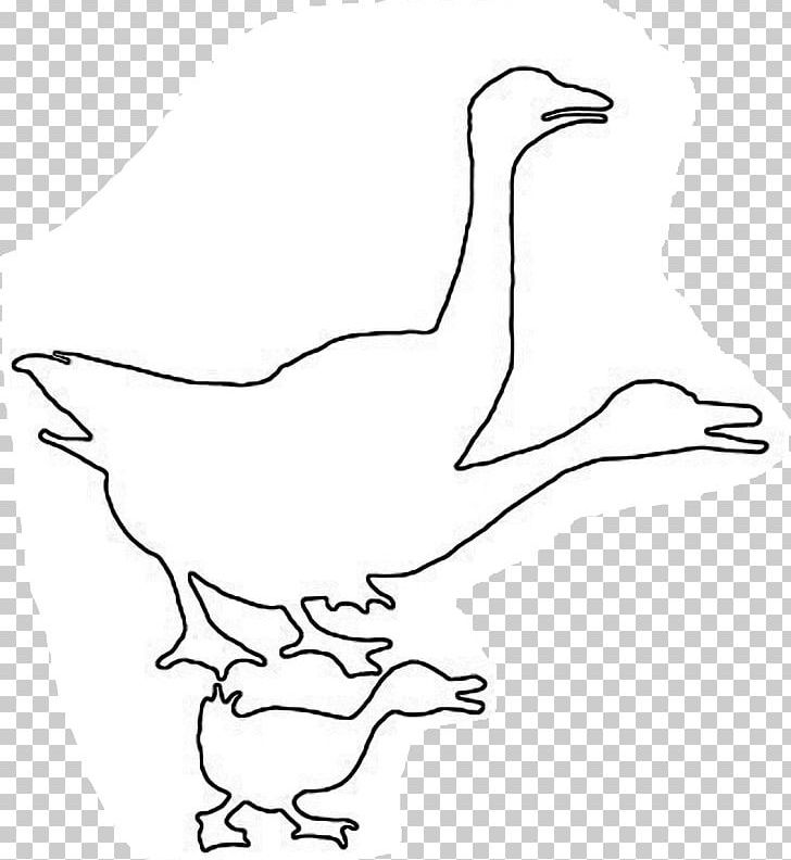 Duck Goose Line Art Cartoon PNG, Clipart, Animal Figure, Animals, Area, Art, Artwork Free PNG Download