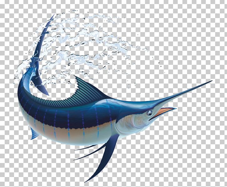 Marlin Fishing Atlantic Blue Marlin PNG, Clipart, Billfish, Blue Marlin, Bony Fish, Cartilaginous Fish, Electric Blue Free PNG Download