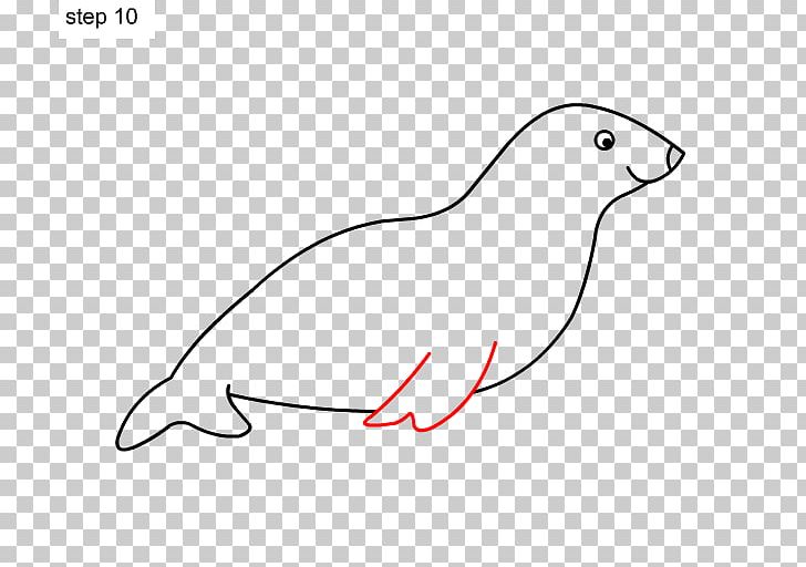 Sea Lion Drawing Illustration PNG, Clipart, Angle, Area, Art, Art Museum, Beak Free PNG Download