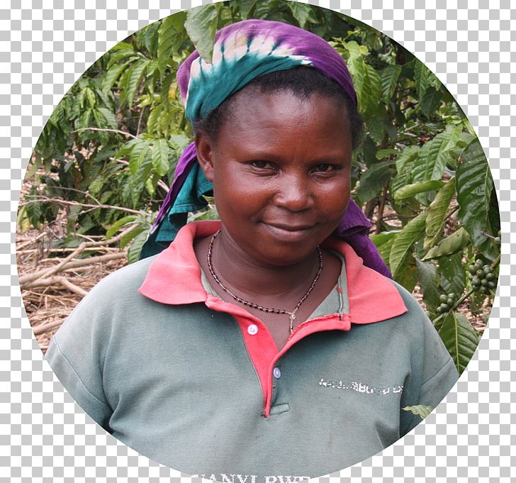 Uganda Coffee Cattle Goat Agricultural Manager PNG, Clipart, Africa, Agriculture, Birth, Cap, Cattle Free PNG Download