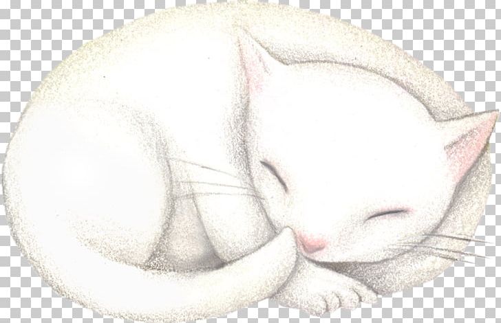 Whiskers Kitten Drawing Snout PNG, Clipart, Animals, Artwork, Carnivoran, Cat, Cat Like Mammal Free PNG Download