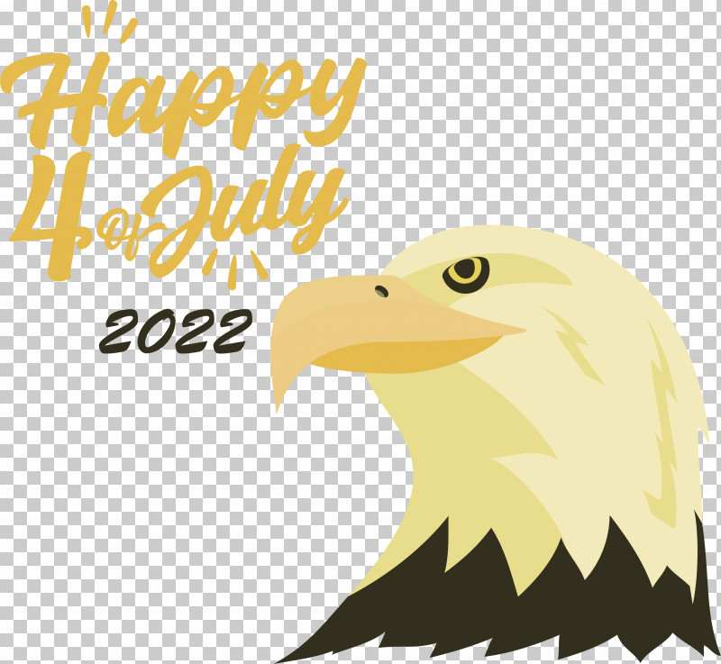 Birds Bald Eagle Bird Of Prey Eagle Beak PNG, Clipart, Bald Eagle, Beak, Biology, Bird Of Prey, Birds Free PNG Download