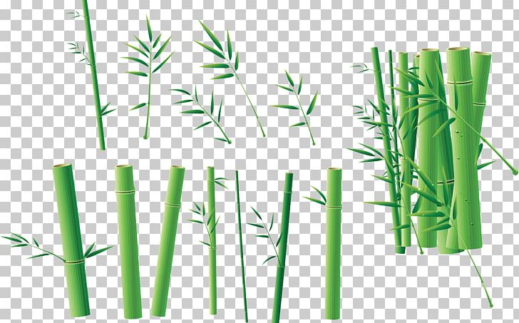 Bamboo Four Gentlemen Bamboe Green PNG, Clipart, Bamboe, Bamboo, Color, Commodity, Encapsulated Postscript Free PNG Download