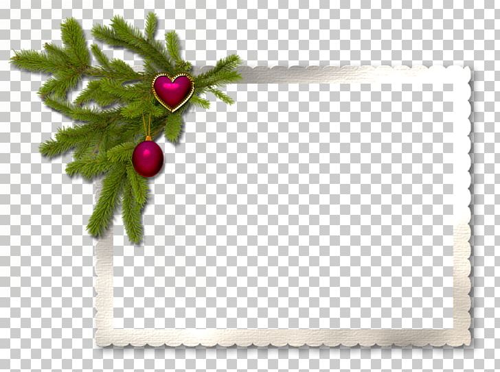 Frames Christmas Decoration New Year Birthday PNG, Clipart, Birthday, Branch, Cari, Christmas, Christmas Decoration Free PNG Download