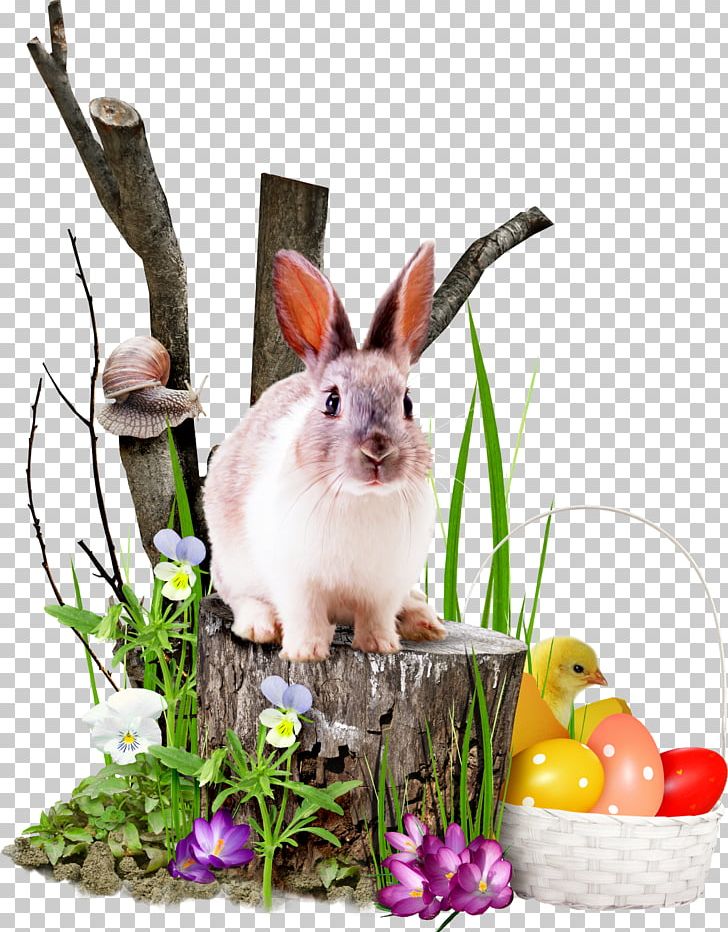 Rabbit PNG, Clipart, Animal, Animals, Background White, Black White, Copyright Free PNG Download