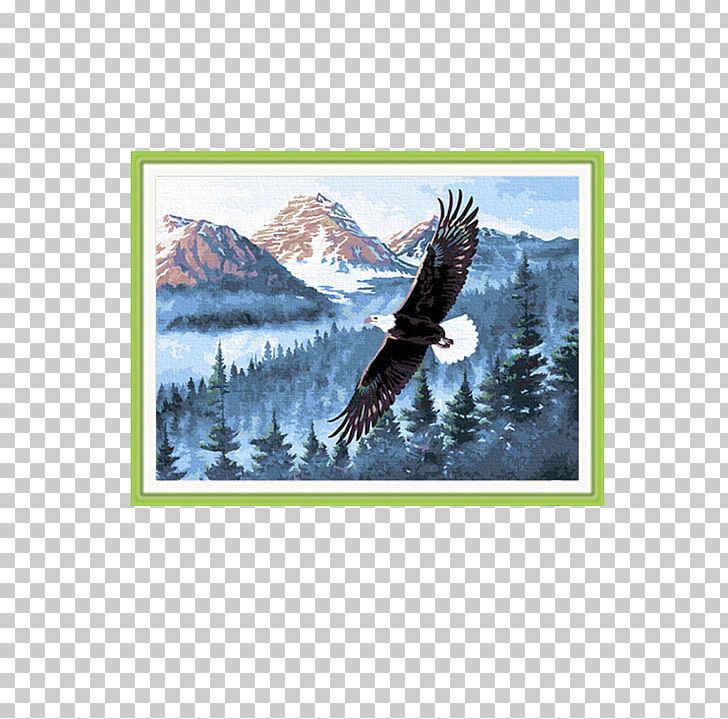 Bald Eagle Oil Painting Art PNG, Clipart, Animal, Animal Painting, Animals, Art, Beak Free PNG Download