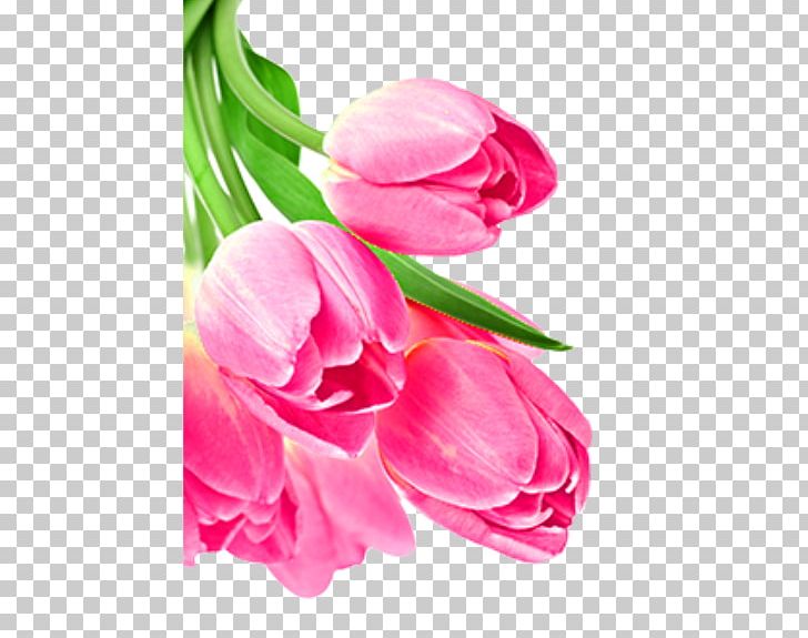 Flower Arranging Poster Artificial Flower PNG, Clipart, Artificial Flower, Cut Flowers, Encapsulated Postscript, Fine, Floral Design Free PNG Download