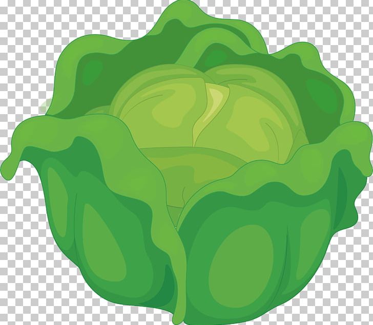 Cabbage Vegetable Computer File PNG, Clipart, Background Green, Brassica Oleracea, Cabbage, Cabbage Vector, Circle Free PNG Download