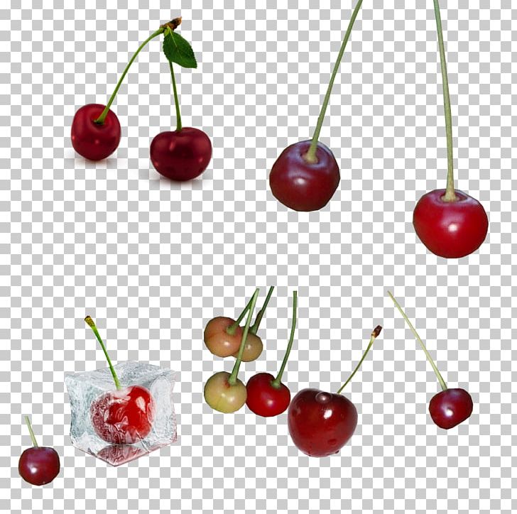 Cherry Red Fruit PNG, Clipart, Adobe Illustrator, Auglis, Cerise, Cherries, Cherry Free PNG Download