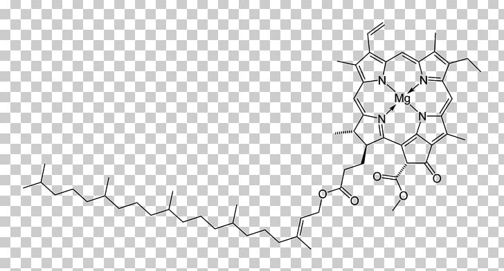 Heme Chlorophyll Hemoglobin Myoglobin PNG, Clipart, Angle, Area, Biological Pigment, Black And White, Bluegreen Bacteria Free PNG Download