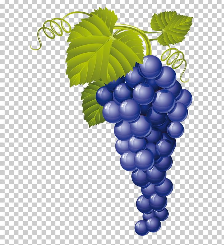 Muscat Wine Juice Grape PNG, Clipart, Bilberry, Black Grapes, Blue, Bunch, Bunch Of Flowers Free PNG Download