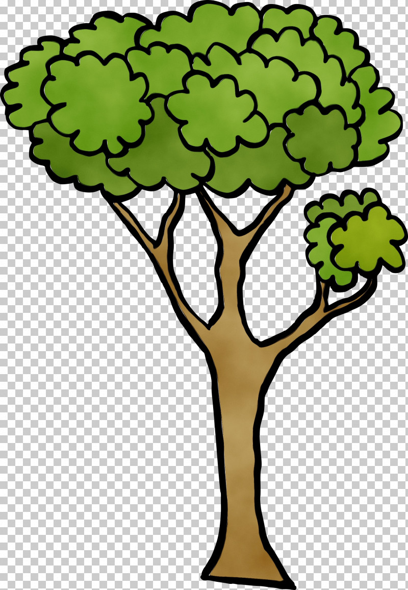 Leaf Plant Stem Tree Green Meter PNG, Clipart, Behavior, Branching, Flower, Green, Human Free PNG Download