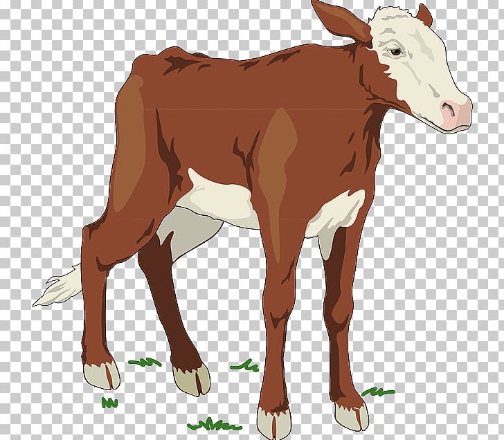 Brown Swiss Cattle Holstein Friesian Cattle Ayrshire Cattle Jersey Cattle PNG, Clipart, Brown Swiss Cattle, Bull, Calf, Cattle, Cow  Free PNG Download