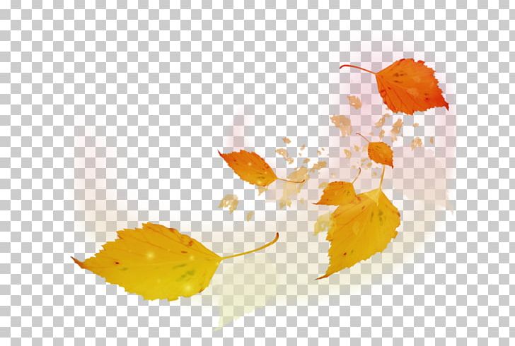 Leaf Autumn PNG, Clipart, Autumn, Autumn Leaves, Autumn Tree, Computer, Computer Wallpaper Free PNG Download