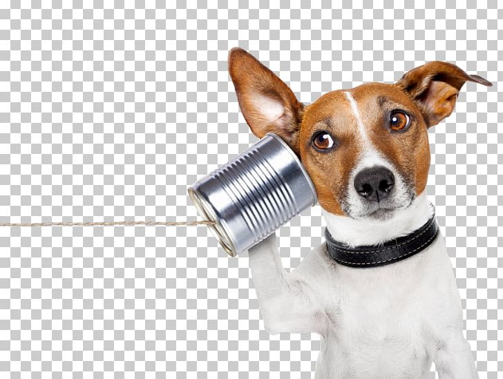 YouTube Conversation Communication Telephone Call Information PNG, Clipart, Animals, Communication, Companion Dog, Conversation, Critical Illness Insurance Free PNG Download