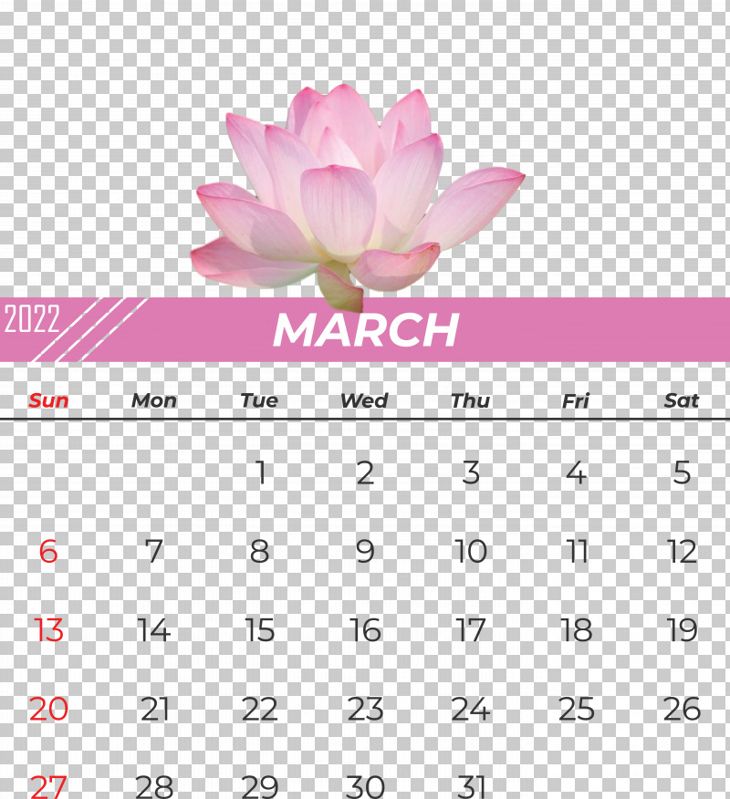Calendar Flower Font Petal Pink M PNG, Clipart, Calendar, Conifer Cone, Flower, Meter, Petal Free PNG Download