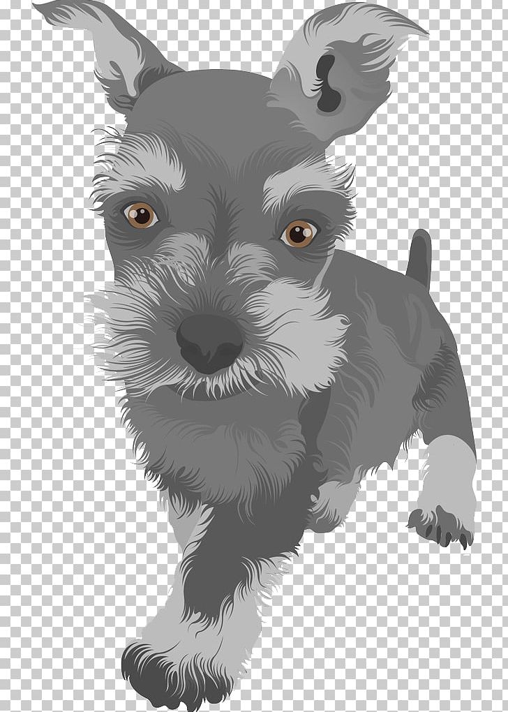 Scottish Terrier Boston Terrier Standard Schnauzer Yorkshire Terrier Puppy PNG, Clipart, Animal, Animals, Animation, Anime Character, Anime Girl Free PNG Download