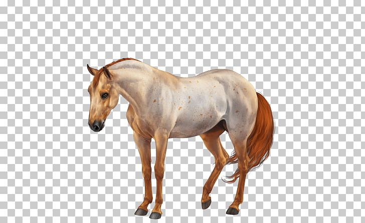 American Quarter Horse American Paint Horse Mane Stallion Mare PNG, Clipart, American Paint Horse, American Quarter Horse, Animal Figure, Bridle, Buckskin Free PNG Download