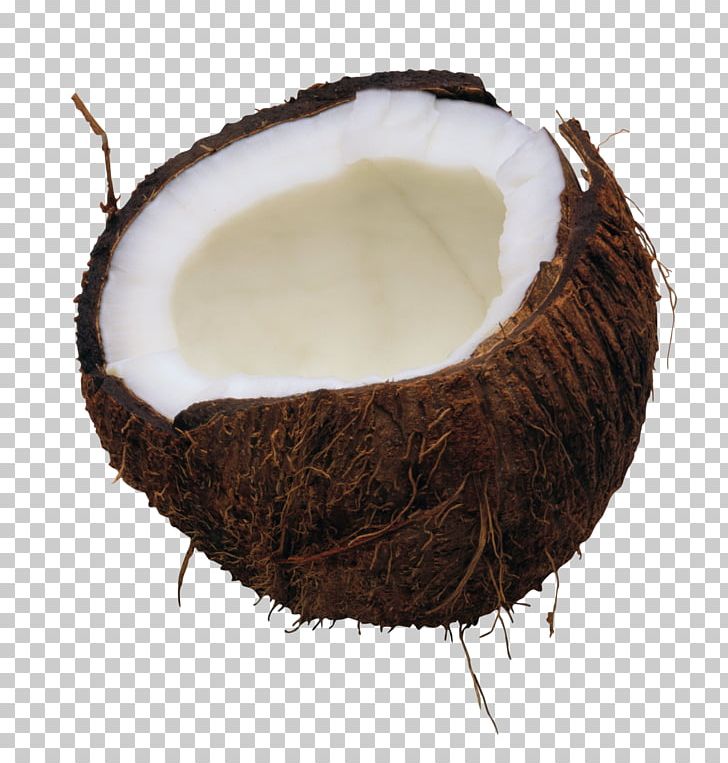 Coconut PNG, Clipart, Coconut Free PNG Download