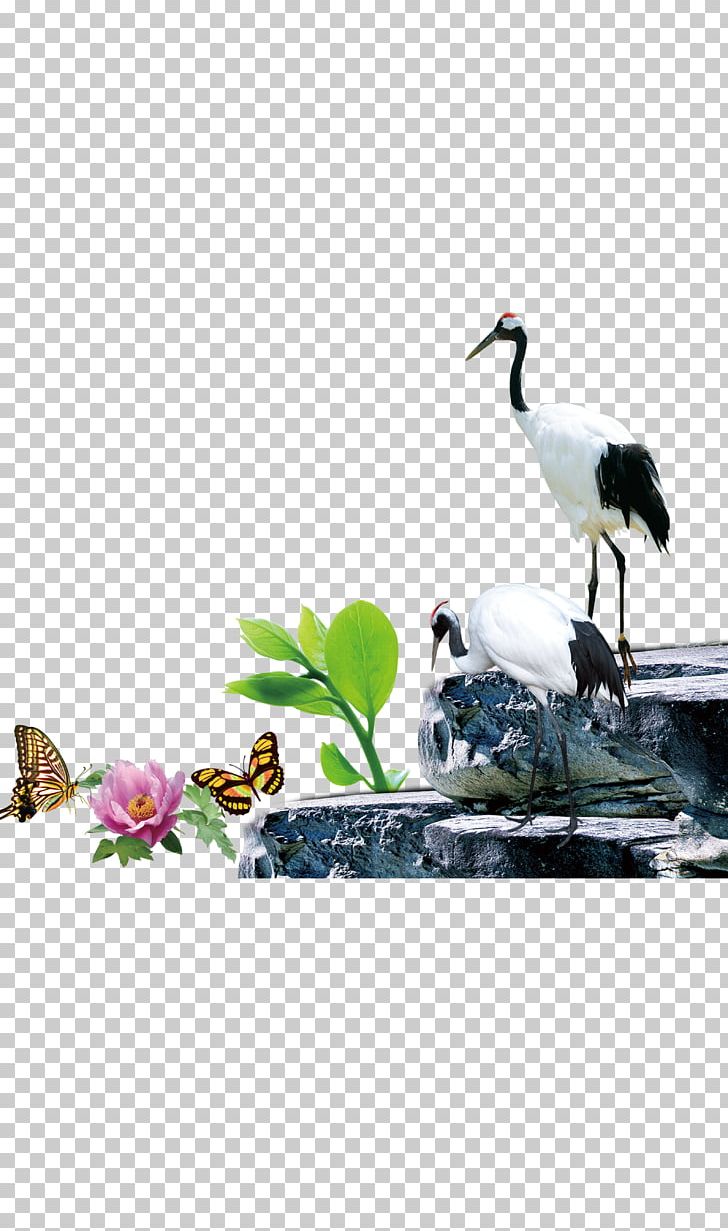 Crane Illustration PNG, Clipart, Bird, Branch, Bye Bye Single Life, Crane, Crane Like Bird Free PNG Download