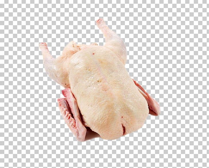 Domestic Goose Yunnan Roast Goose Duck PNG, Clipart, Animals, Animal Source Foods, Braising, Domestic Goose, Duck Free PNG Download
