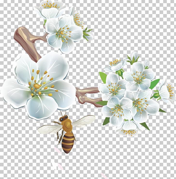 Flower PNG, Clipart, Albom, Blossom, Branch, Branches Vector, Cherry Free PNG Download