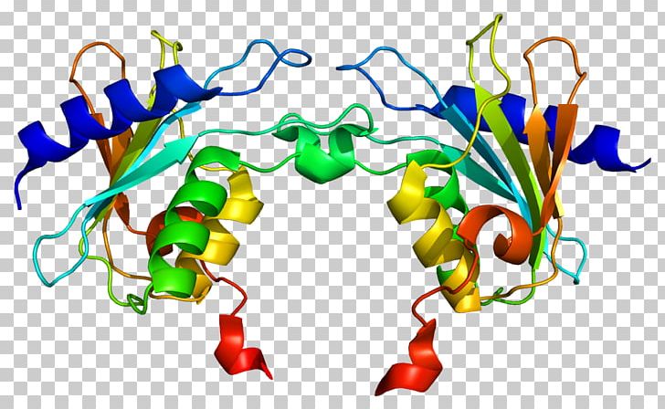 Activation-induced Cytidine Deaminase Deamination Pyrimidine PNG, Clipart, Antibody, Area, Artwork, Cda, Cytidine Free PNG Download