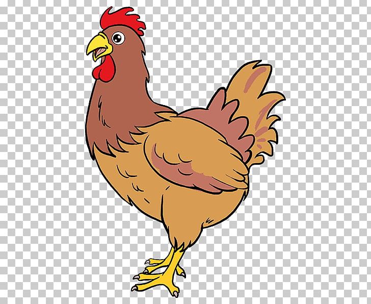 Brahma Chicken Drawing Rooster Chicken Meat PNG, Clipart, Animals, Art, Beak, Bird, Brahma Chicken Free PNG Download