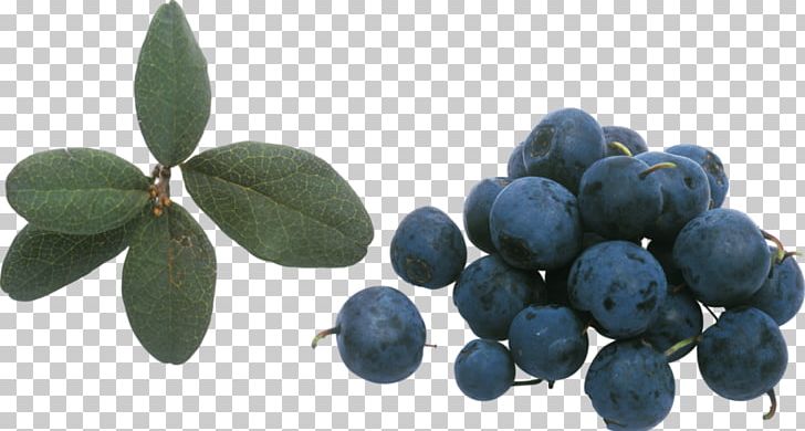 Bilberry Beaujolais Blueberry Huckleberry PNG, Clipart, Africa Map, Arbutin, Asia Map, Auglis, Beaujolais Free PNG Download