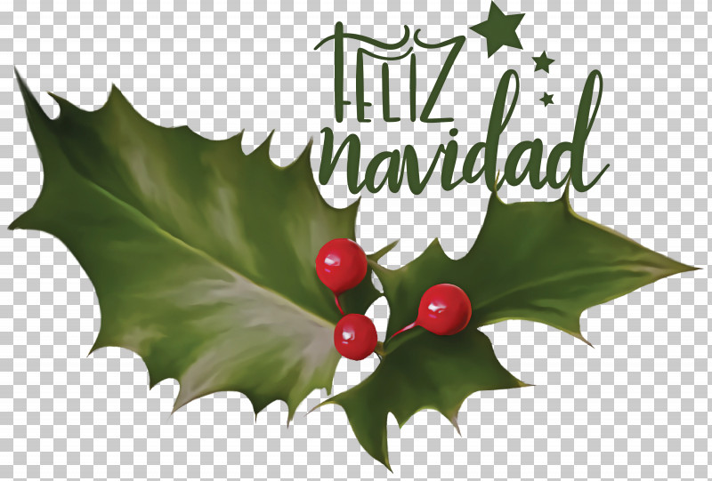 Feliz Navidad Merry Christmas PNG, Clipart, Christmas Day, Christmas Decoration, Christmas Ornament, Christmas Plants, Christmas Tree Free PNG Download