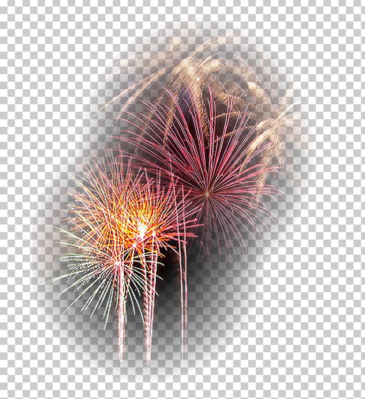 Fireworks Explosive Material Desktop Close-up Dandelion PNG, Clipart, Closeup, Closeup, Computer, Computer Wallpaper, Dandelion Free PNG Download