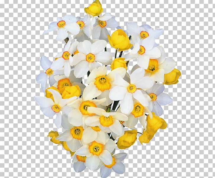 Gift Cut Flowers Flower Bouquet Woman PNG, Clipart, Amaryllis Family, Daffodil, Daughter, Floral Design, Floristry Free PNG Download