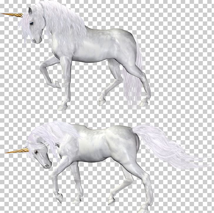 Horse Unicorn PNG, Clipart, Colt, Computer Icons, Download, Fantasy, Fictional Character Free PNG Download