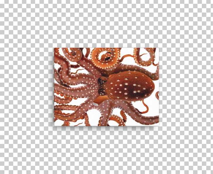 Octopus Cephalopod Botanical Illustration Drawing PNG, Clipart, Amphioctopus Marginatus, Argonaut, Art, Botanical Illustration, Botany Free PNG Download