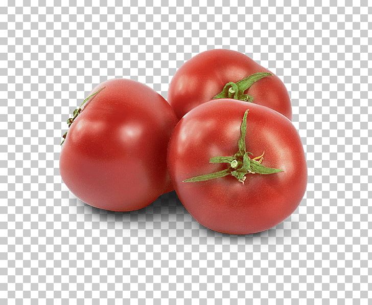 Plum Tomato Bush Tomato Vegetable Food Cherry Tomato PNG, Clipart, Bush Tomato, Cherry Tomato, Chinese Cabbage, Cucumber, Cultivar Free PNG Download